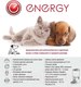 Миниатюра изображения товара Кормушка автоматическая для животных Energy Zoo 10008Smart / 106061