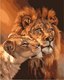 Миниатюра изображения товара Картина по номерам Sundays Art Лев и львица