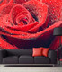 Миниатюра изображения товара Фотообои листовые Citydecor Красная роза (300x254)