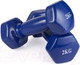 Миниатюра изображения товара Гантель VictoryFit VF-DV020 (2кг)