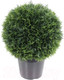 Миниатюра изображения товара Искусственное растение Merry Bear Home Decor Туя шаровидная / KDA0255