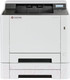 Миниатюра изображения товара Принтер Kyocera Mita PA2100cx (110C0C3NL0)