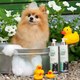 Миниатюра изображения товара Шампунь от блох I Love My Pet Антипаразитарный для собак и кошек (250мл)