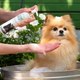 Миниатюра изображения товара Шампунь от блох I Love My Pet Антипаразитарный для собак и кошек (250мл)