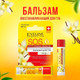 Миниатюра изображения товара Бальзам для губ Eveline Cosmetics 100% Organic Argan Oil SOS Vanilla (4.5г)