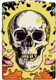 Миниатюра изображения товара Зажигалка Zippo Skull Design / 48640 (разноцветный)
