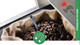 Миниатюра изображения товара Стяжка для кабеля SapiSelco DET.11.2124R (100шт)