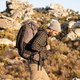 Миниатюра изображения товара Рюкзак туристический Naturehike Rock Series NH19BP095 / 6927595761649 (черный)
