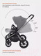 Миниатюра изображения товара Детская универсальная коляска Rant Flex Pro 3 в 1 2023 / RA075 (Grey)