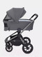 Миниатюра изображения товара Детская универсальная коляска Rant Flex Pro 3 в 1 2023 / RA075 (Grey)