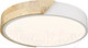Миниатюра изображения товара Потолочный светильник Velante 445-007-01