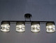 Миниатюра изображения товара Потолочный светильник Aitin-Pro НПБ 02-4x40-101 / N5395/4 (черный/хром)
