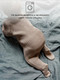 Миниатюра изображения товара Комбинезон для малышей Amarobaby Pure Love Little / AB-OD23-PLL3/03-74 (бежевый, р.74)