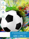 Миниатюра изображения товара Фотообои листовые ФабрикаФресок Футбольный мяч с красками / 734270 (400x270)