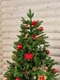 Миниатюра изображения товара Ель искусственная National Tree Company Эверест / ЭВ-210 (210см)