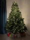 Миниатюра изображения товара Ель искусственная National Tree Company Эверест / ЭВ-210 (210см)