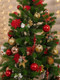 Миниатюра изображения товара Ель искусственная National Tree Company Сказка / СК-160 (160см)