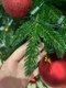 Миниатюра изображения товара Ель искусственная National Tree Company Форест / Фор-190 (190см)