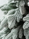 Миниатюра изображения товара Ель искусственная National Tree Company Ариадна заснеженная / АРД/ЗСН-210 (210см)