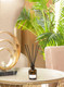 Миниатюра изображения товара Аромадиффузор Arida Home XO The Nicety (50мл)