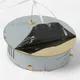 Миниатюра изображения товара Потолочный светильник Lussole Citrus LSP-7156