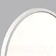 Миниатюра изображения товара Потолочный светильник Sonex Mitra Led 7659/48L