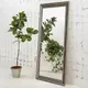 Миниатюра изображения товара Зеркало Silver Mirrors Эфес 60x120 / ФР-00000918