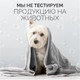 Миниатюра изображения товара Гель для душа NICE by Septivit Для ежедневного использования мужской (5л)