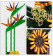 Миниатюра изображения товара Конструктор Mould King Birds Of Paradise Flower Bouquet / 10024