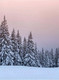 Миниатюра изображения товара Картина Woodary 3002 (40x50)
