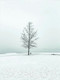 Миниатюра изображения товара Картина Woodary 3007 (40x50)