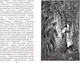 Миниатюра изображения товара Книга Эксмо Капитанская дочка. Повести. Детская библиотека 9785041901226 (Пушкин А.С.)