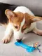 Миниатюра изображения товара Игрушка для собак Petstages Mini Орка Косточка / 221REX