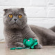Миниатюра изображения товара Игрушка для кошек Petstages Танцующий лягушонок со звуком / 70378M