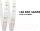 Миниатюра изображения товара Светодиодная лента Apeyron Electrics SMD5050 / 00-339