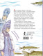 Художественная книга АСТ Сегодня, завтра или вчера. Сказки народов мира / 9785171574802 (Маршак С.Я.) — фото 4