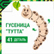 Миниатюра изображения товара Сборная модель Drovo Гусеница Тутта / DR004