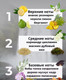 Миниатюра изображения товара Парфюмерная вода Clive&Keira Chrome 1087 (30мл)