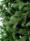 Миниатюра изображения товара Ель искусственная National Tree Company Рождественская Премиум / РД/ПР-180 (180см)