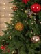 Миниатюра изображения товара Ель искусственная National Tree Company Рождественская Премиум / РД/ПР-210 (210см)