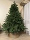 Миниатюра изображения товара Ель искусственная National Tree Company Рождественская Премиум / РД/ПР-210 (210см)