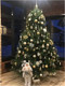 Миниатюра изображения товара Ель искусственная National Tree Company Рождественская Премиум / РД/ПР-210 (210см)