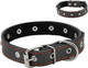 Миниатюра изображения товара Ошейник Homepet 15мм 28-38см / 75893 (черный)