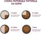 Миниатюра изображения товара Сухой корм для собак Award Д/взр. собак с индейкой и курицей с доб. моркови и ч. смородины (12кг)