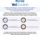 Миниатюра изображения товара Сухой корм для кошек Monge Vet Solution Urinary Struvite (400г)