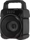 Миниатюра изображения товара Портативная колонка Digma D-PS1500 (черный)