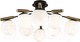 Миниатюра изображения товара Люстра Freya Paolina FR5011CL-08B