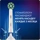 Миниатюра изображения товара Электрическая зубная щетка Oral-B Pro 1 500  D305.513.3 (бирюзовый)