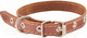 Миниатюра изображения товара Ошейник Homepet 30мм 41-53см / 77827 (коричневый)