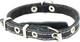 Миниатюра изображения товара Ошейник Homepet 15мм 22-35см / 84026 (черный)
